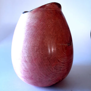 Large beech vase