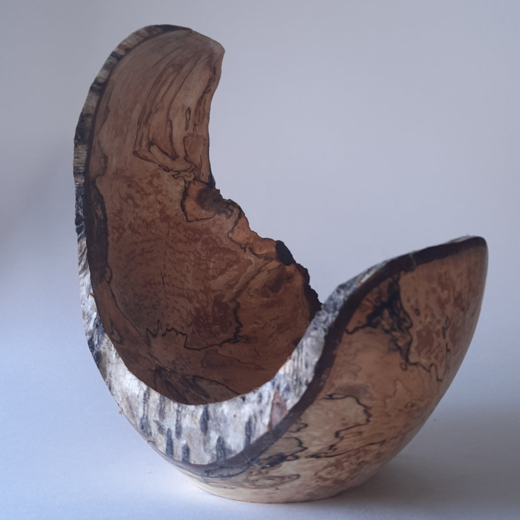 Spalted birch form