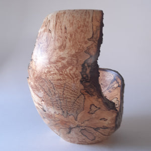 Spalted birch form