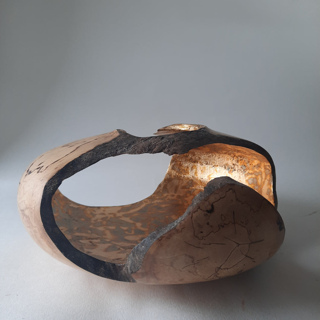 spalted sycamore form with variegated leaf