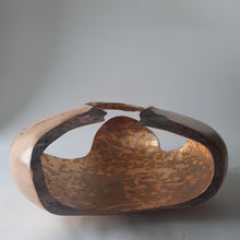 Load image into Gallery viewer, spalted sycamore form with variegated leaf

