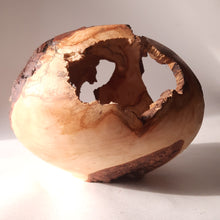 Load image into Gallery viewer, Rotten apple hollowform
