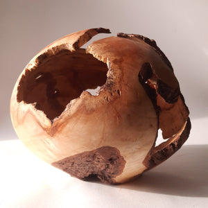 Rotten apple hollowform