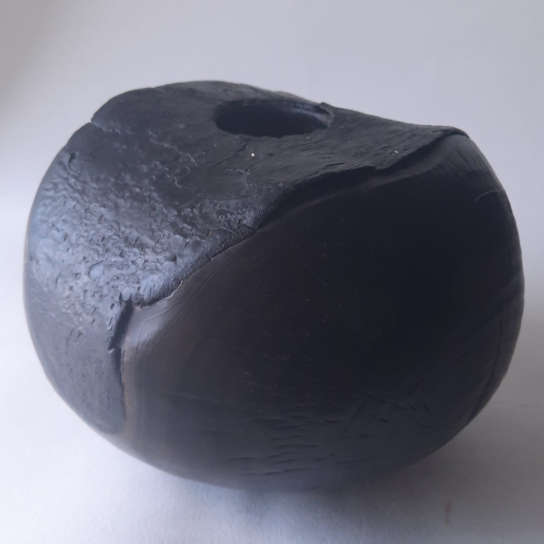 Scorched sycamore hollow form