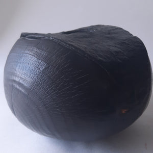 Scorched sycamore hollow form