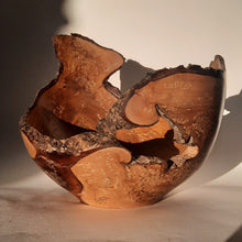 Load image into Gallery viewer, Silver birch bowl
