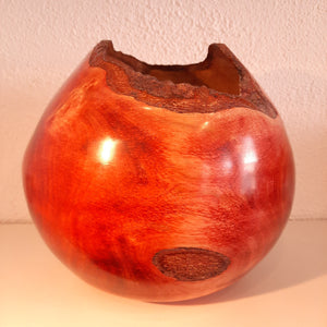 Red alder form