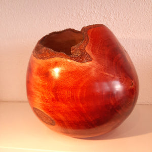 Red alder form