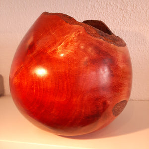 Red alder form