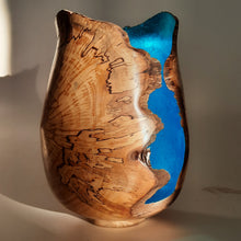 Load image into Gallery viewer, Tall alder piece with blue silver leaf
