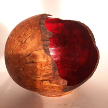 Load image into Gallery viewer, Alder form with red marbled silver leaf
