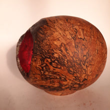 Load image into Gallery viewer, Alder form with red marbled silver leaf
