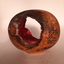 Load image into Gallery viewer, Alder form with red marbled silver leaf
