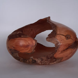 Cypress hollow form