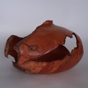 Cypress hollow form