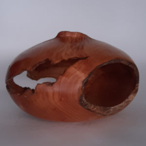 Cypress hollow form