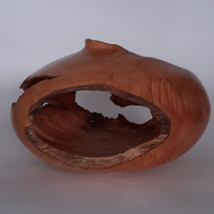 Cypress hollow form