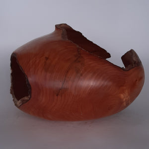 Cypress hollow form