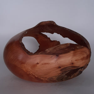 Cypress hollow form