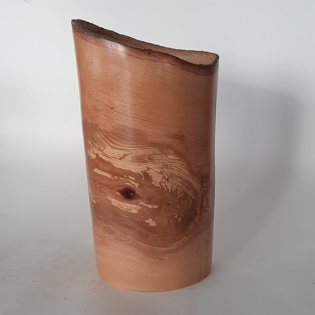 beech vase