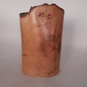 big tall beech vase