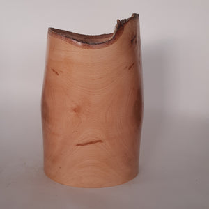 big tall beech vase